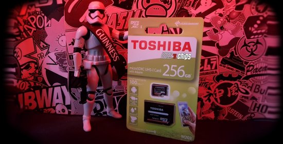 toshiba microsdxc m203 256GB home lr